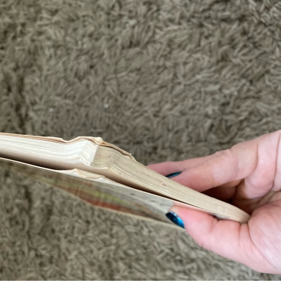 Bonnard and His Environment by SOBY - Pierre Bonnard - Vintage Bonnard Art Book - Picture 7 of 12